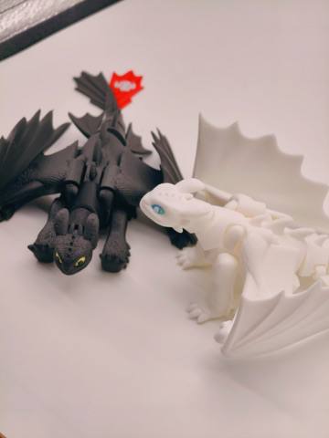 toothless and night fury combo